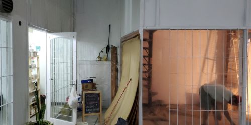 Trabajos de Pintura 15-Final